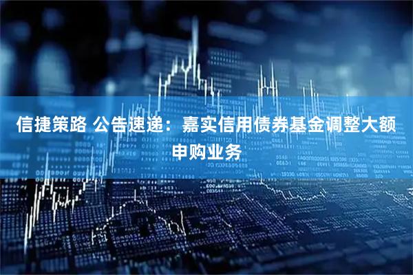 信捷策路 公告速递：嘉实信用债券基金调整大额申购业务